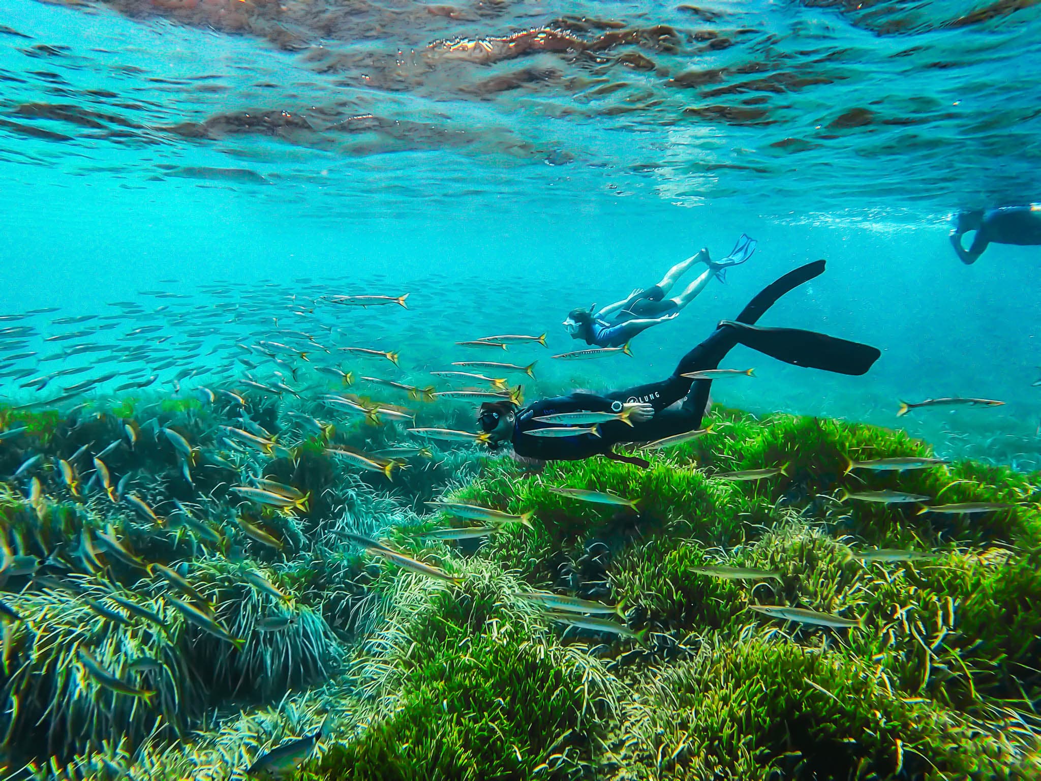 Tour de Snorkel
